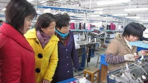 廣西賀州市僑務(wù)部門深入一線調(diào)研，精準(zhǔn)服務(wù)僑資企業(yè)促發(fā)展